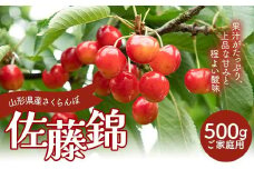 FYN6-052 ≪2026年先行予約≫ご家庭用 山形県産 さくらんぼ 佐藤錦  M バラパック詰め 500ｇ 2026年6月上旬から順次発送 果物 くだもの フルーツ 桜桃 サクランボ 小玉 訳あり 家庭用 自宅用 農業者支援 農家支援 山形県 西川町 月山