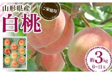 FYN6-073 ≪2026年先行予約≫ ご家庭用 山形県産 品種おまかせ 白桃 約3kg（6～11玉） 2026年8月中旬から順次発送 柔らかくなる桃 はくとう 桃 もも モモ 果物 くだもの 夏果実 フルーツ 訳あり 農業者支援 家庭用 自宅用 産地直送 山形県 西川町 月山