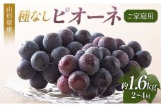 FYN6-058 《2025年先行予約》ご家庭用 山形県産 ぶどう ピオーネ 約1.6kg(2～4房) 2025年8月下旬から順次発送 葡萄 ブドウ 種無し 夏果実 秋果実 果物 くだもの フルーツ 訳あり 家庭用 自宅用 産地直送 山形県 西川町 月山