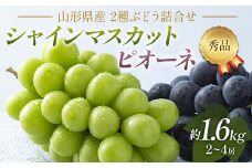 FYN6-059 《2025年先行予約》贈答用 山形県産 シャインマスカット ピオーネ 詰合せ 約1.6kg（2～4房） 秀品 2025年8月下旬から順次発送 葡萄 ブドウ 種無し 夏果実 秋果実 果物 くだもの フルーツ 贈り物 ギフト プレゼント 産地直送 山形県 西川町 月山