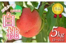 FYN6-061 ≪2025年先行予約≫贈答用 山形県産 おまかせ 白桃 5kg(13～20玉) 秀品 2025年8月下旬から順次発送 柔らかくなる桃 夏果実 果実 果物 くだもの フルーツ 桃 もも ピーチ 化粧箱 贈答 ギフト プレゼント 産地直送 山形県 西川町 月山