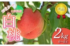 FYN6-062 ≪2025年先行予約≫贈答用 山形県産 おまかせ 白桃 2kg(6～8玉)秀品 2025年8月下旬から順次発送 柔らかくなる桃 夏果実 果実 果物 くだもの フルーツ 桃 もも ピーチ 化粧箱 贈答 ギフト プレゼント 産地直送 山形県 西川町 月山