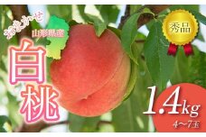 FYN6-063 ≪2025年先行予約≫贈答用 山形県産 おまかせ 白桃 1.4kg(4～7玉)秀品 2025年8月下旬から順次発送 柔らかくなる桃 夏果実 果実 果物 くだもの フルーツ 桃 もも ピーチ 化粧箱 贈答 ギフト プレゼント 産地直送 山形県 西川町 月山