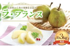 FYN6-056 ≪2025年先行予約≫贈答用 山形県産 西洋梨 ラ・フランス 約3kg (9～10玉) 秀品 2025年11月上旬から順次発送 洋梨 洋なし ラフランス 秋果実 果物 くだもの フルーツ 贈り物 ギフト 産地直送 山形県 西川町 月山