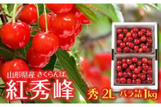 FYN6-118 山形県産 さくらんぼ 紅秀峰 1kg(500g×2) 秀 2L バラ詰め 2025年6月下旬頃から順次発送 初夏 果物 くだもの フルーツ 贈り物 ギフト ギフト箱 期間限定 数量限定 産地直送 山形県 西川町 月山