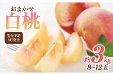 FYN6-115 ≪2025年先行予約≫8月発送 山形県産 品種おまかせ 白桃 約3kg（8～12玉） 秀品 2025年8月上旬から順次発送 桃 もも モモ 果物 くだもの 夏果実 フルーツ 産地直送 山形県 西川町 月山