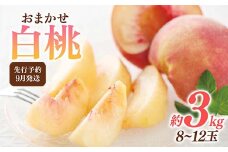 FYN6-116 ≪2025年先行予約≫9月発送 山形県産 品種おまかせ 白桃 約3kg（8～12玉） 秀品 硬めの桃 2025年9月上旬から順次発送 桃 もも モモ 果物 くだもの 夏果実 フルーツ 産地直送 山形県 西川町 月山