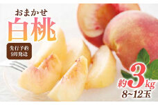 FYN6-116 ≪2025年先行予約≫9月発送 山形県産 品種おまかせ 白桃 約3kg（8～12玉） 秀品 硬めの桃 2025年9月上旬から順次発送 桃 もも モモ 果物 くだもの 夏果実 フルーツ 産地直送 山形県 西川町 月山