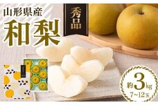 FYN6-074 ≪2025年先行予約≫ 贈答用 山形県産 和梨 約3kg（7～12玉） 秀品 2025年8月中旬頃から順次発送 幸水 こうすい 豊水 ほうすい 梨 夏果実 果物 くだもの フルーツ ギフト箱 化粧箱 ギフト プレゼント 贈り物 産地直送 西川町 月山