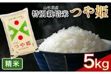 FYN6-161 令和6年度 山形県産 特別栽培米 つや姫 5kg 白米 精米 米米 米 ごはん ブランド米 特栽 つやひめ 2024年 贈答 贈り物 ギフト 自宅 家庭 山形県 西川町 月山
