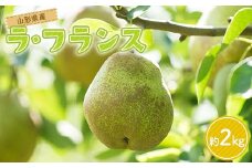 FYN6-163 贈答用 山形県産 洋梨 ラ・フランス 約2kg(5～6玉) 2025年11月上旬から順次発送  洋梨 洋なし ラフランス 秋果実 果物 くだもの フルーツ 贈答 贈り物 ギフト プレゼント 産地直送 山形県 西川町 月山