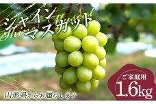 FYN6-200 家庭用 山形県産 シャイマスカット 約1.6kg(3～4房) 2025年9月下旬から順次発送 大粒ぶどう ぶどう ブドウ 葡萄 シャイン マスカット 種なし 大粒 高級 くだもの フルーツ 果物 自宅 家庭 訳あり ワケアリ 産地直送 数量限定 山形県 西川町 月山