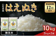 FYN1-957 【12月後半発送】令和7年産 新米 山形県産 はえぬき 10kg 2025年 お米 米 米米 ごはん ご飯 白米 国産 ブランド米 節水 時短 冷めてもおいしい贈答 ギフト 家庭用 自宅用 お取り寄せ 食品 山形県 西川町 月山