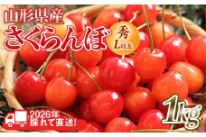 FYN6-251 ≪2026年先行予約≫山形県産 さくらんぼ 品種おまかせ(佐藤錦・紅秀峰など) 1kg(500g×2) 秀/L以上 バラパック詰め 2026年6月中旬頃より発送 果物 くだもの フルーツ 夏果実 サクランボ チェリー 桜桃 高級 化粧箱 ギフト箱 贈り物 贈答 ギフト プレゼント 自宅 家庭 産地直送 山形県 西川町 月山
