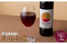 FYN6-235 【月山トラヤワイナリー】 月山山麓 赤ワイン 720ml×2 山形県産 ぶどう使用 赤 ワイン 洋酒 酒 山形県 西川町 月山