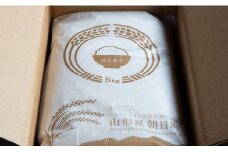 米 はえぬき 令和6年産 10kg（5kg×2袋） 精米 2024年産 山形県 朝日町産 こめ コメ