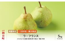 ラ・フランス 洋梨 5kg 16玉以上 特秀 【11月中旬発送】 山形県 朝日町産 山形 特産 産地直送 果物 フルーツ ラフランス 秋 山形産