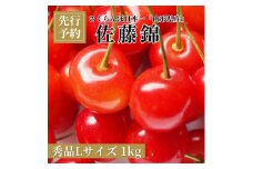 さくらんぼ 佐藤錦 秀品 L 1kg 【2025年6月下旬頃発送】 山形県 朝日町産 農産物 フルーツ 山形産 バラ詰め サクランボ 高級 果物 初夏