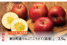 りんご こうとく 高徳 秀品 2.5kg 【11月上旬発送】山形県 朝日町産 山形県産 特産 果物 フルーツ リンゴ 林檎 秋