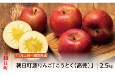 りんご こうとく 高徳 秀品 2.5kg 【11月上旬発送】山形県 朝日町産 山形県産 特産 果物 フルーツ リンゴ 林檎 秋