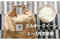 朝日町産米「ミルキークイーン」10㎏×3ヶ月定期便【1月～3月配送】