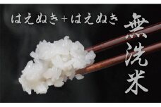 無洗米 はえぬき 令和6年産 10kg（5kg×2袋） 2024年産 山形県 朝日町産 精米 米 こめ コメ