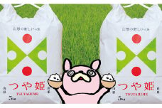 米 つや姫 令和6年産 10kg（5kg×2袋） 精米 2024年産 こめ コメ 山形県 朝日町産