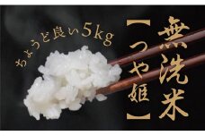 無洗米 つや姫 令和6年産 5kg 2024年産 山形県 朝日町産 精米 米 こめ コメ
