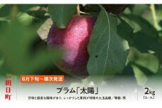 プラム 太陽 2kg 大玉 2L～3L 秀品 化粧詰め 【2025年8月下旬～9月上旬発送】山形県 朝日町産 山形産 すもも スモモ フルーツ 果物 夏