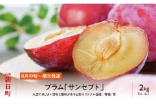 プラム サンセプト 2kg 大玉 2L～3L 秀品 化粧詰め 【2025年9月中旬～９月下旬発送】 山形県 朝日町産 山形産 すもも スモモ フルーツ 果物 秋 送料無料