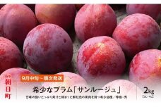 プラム サンルージュ ２kg 大玉 3L～4L 秀品 化粧詰め 【2025年9月中旬～９月下旬発送】 山形県 朝日町産 山形産 すもも スモモ フルーツ 果物 秋
