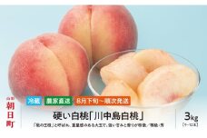 白桃 川中島 3kg 9～12個 秀品 【2025年8月下旬発送】 農家直送 山形県 朝日町産 山形産 もも モモ 桃 ピーチ 果物 フルーツ 夏 送料無料 糖度 クール便 冷蔵便 予約 先行予約