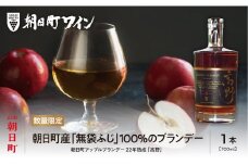 【りんごのブランデー】22年熟成 「高野」  