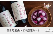 朝日町産 山ぶどう原液＜1本600ml×2本セット 箱入り＞