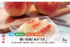 白桃 あかつき 3kg 9～12個 秀品 【2025年8月中旬発送】山形県 朝日町産 農家直送 山形産 もも モモ 桃 ピーチ 果物 先行予約 フルーツ 夏