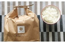 朝日町産米「ミルキークイーン」10㎏×3ヶ月定期便【2月～4月配送】