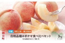 白桃 秀品 3kg 9～12玉程度 【8月上旬～9月上旬発送】 品種おまかせ 山形県 朝日町産 フルーツ 山形産 桃 もも モモ ピーチ 果物 夏