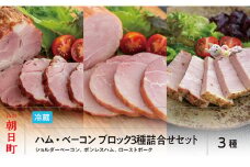 ハム ベーコン ブロック 3種 詰合せ セット ボンレスハム ローストポーク（モモ） ショルダーベーコン 山形県産 豚肉 加工品 ギフト おかず 山形県 朝日町