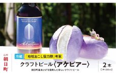 アケビを使ったクラフトビール アケビアー 330ml×2本 箱入り