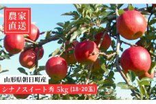 りんご シナノスイート 秀 5kg 16～20玉 【10月上旬発送】 農家直送 山形県 朝日町産 山形県産 果物 フルーツ リンゴ 林檎 秋 産地直送 先行予約