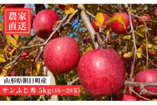 ＜ 先行予約 ＞ りんご サンふじ 秀 5kg 16～20玉 【2025年12月上旬発送】 農家直送 山形県 朝日町産 山形県産 特産 果物 フルーツ リンゴ 林檎 産地直送 秋 冬