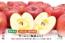 ＜ 先行予約 ＞ りんご サンふじ 秀 5kg 16～20玉 【2025年12月上旬発送】 農家直送 山形県 朝日町産 山形県産 特産 果物 フルーツ リンゴ 林檎 産地直送 秋 冬