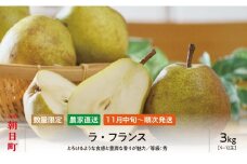ラ・フランス 洋梨 3kg 9～12玉 秀品 【11月中旬発送】 農家直送 山形県 朝日町産 山形産 山形 特産 産地直送 果物 フルーツ ラフランス 秋