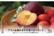  プラム おまかせ 2種以上 食べ比べ 2kg 大玉 2L～3L 秀品 化粧詰め 【2025年8月下旬～9月上旬発送】山形県 朝日町産 山形産 すもも スモモ フルーツ 果物 夏