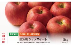 ＜ 先行予約 ＞ りんご 【 ご家庭用 訳あり 】 シナノスイート 5kg 【2025年10月上旬～発送】 山形県 朝日町産 農家直送 山形県産 特産 果物 フルーツ リンゴ 林檎 秋