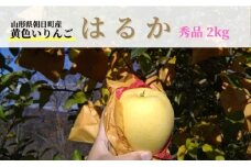 りんご はるか 秀品 2kg 【11月下旬から発送】 山形県 朝日町産 山形県産 特産 果物 フルーツ リンゴ 林檎 秋 冬 先行予約