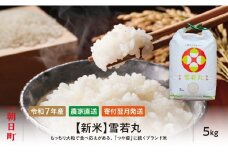 新米 雪若丸 令和7年産 5kg（1袋） こめ コメ 2025年産 精米 山形県 朝日町産 送料無料