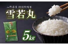 【令和6年産米】特別栽培米 雪若丸 5kg【山形県産 特別栽培米】 【2024年産米】【001-067】