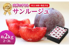 《先行受付》すもも「サンルージュ」約2kg 2～3L【2025年9月上旬頃～発送予定】【山形プラム・大江町産】 【001-079】