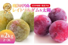 《先行受付》すもも「レイトソルダム」「太陽」約2kg 2～3L【2025年8月中旬頃～発送予定】【山形プラム・大江町産】 【001-078】